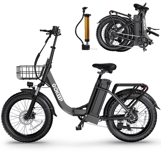 L20A Folding Electric Bike