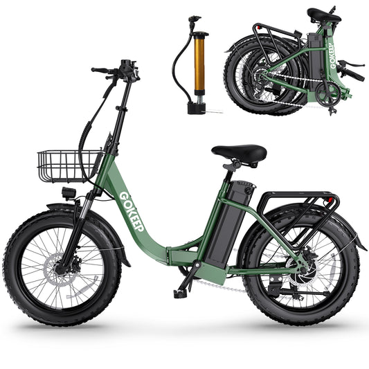 L20A Folding Electric Bike